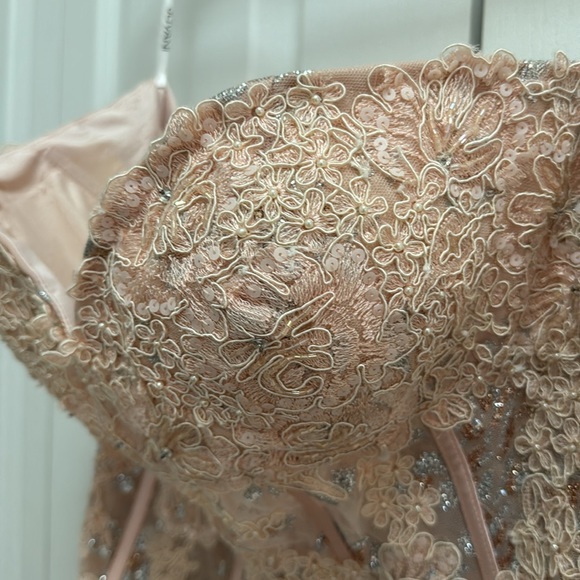 PROM SEASON Jovani for Cache dress size 12 mod 1531a new with tags color blush. - Picture 9 of 11